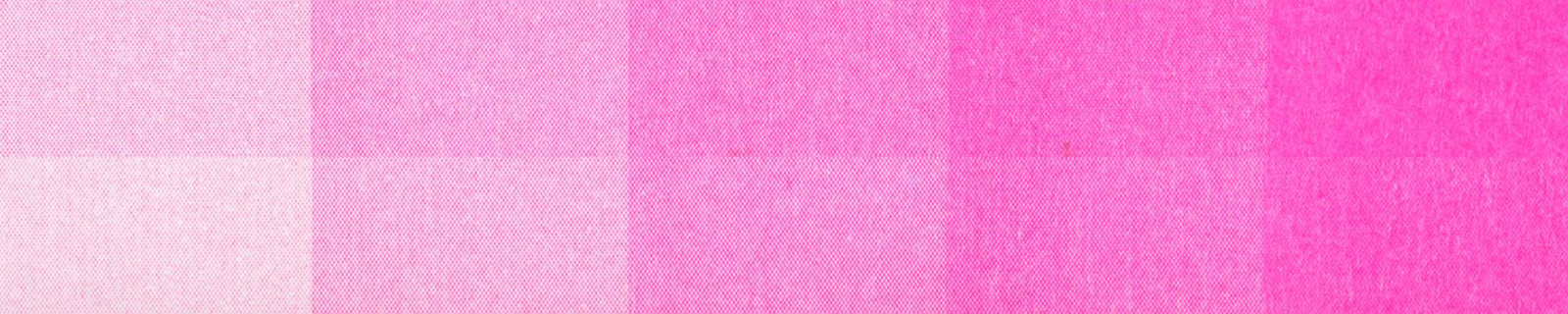 형광 핑크 (Fluorescent Pink) ✶